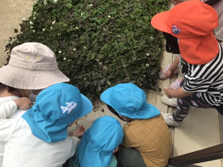 だんごむしを探す子ども達