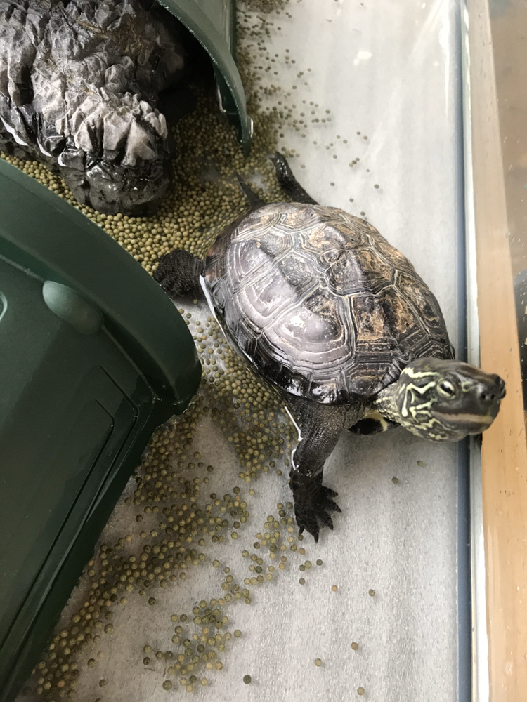 edited_IMG_0274_20200518_162910