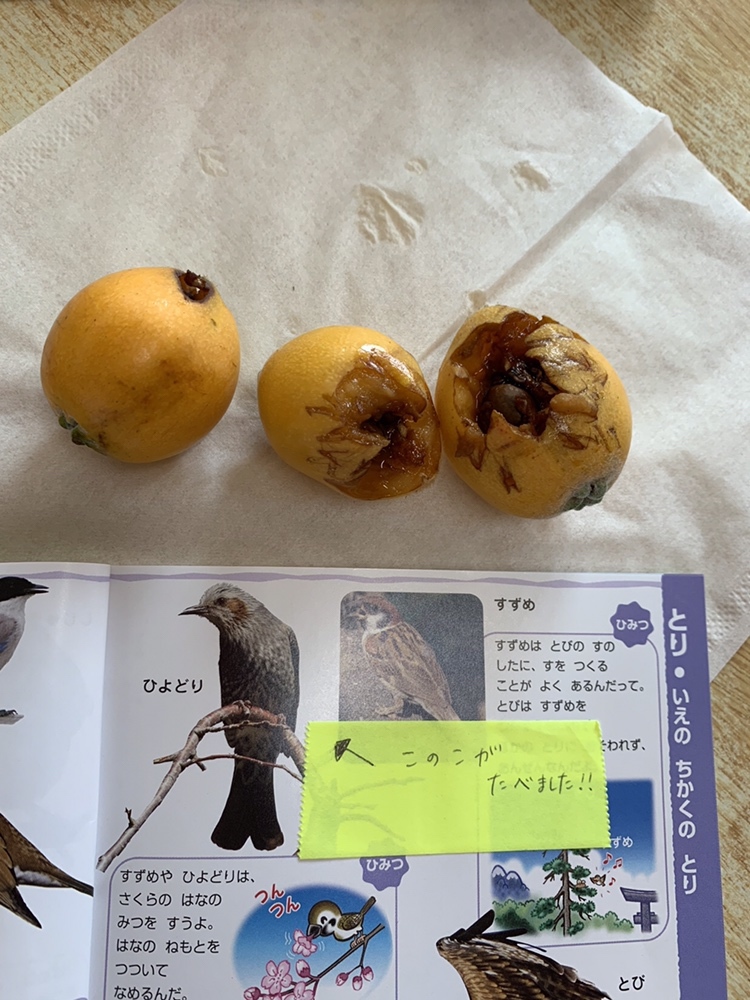 edited_IMG_7039_20200527_094004